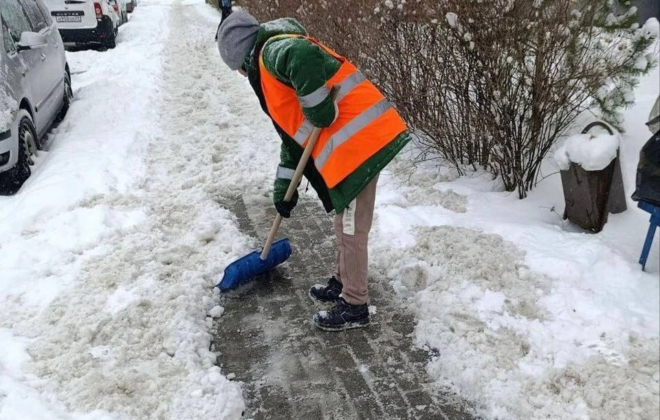 Алексей Беспрозванных рассказал, что специально ходит по дворам в Калининграде и проверяет качество уборки