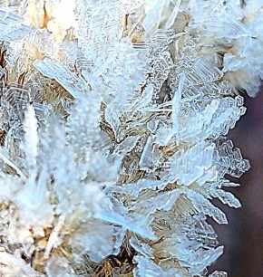 ��� ����� ���������� ����������� �����