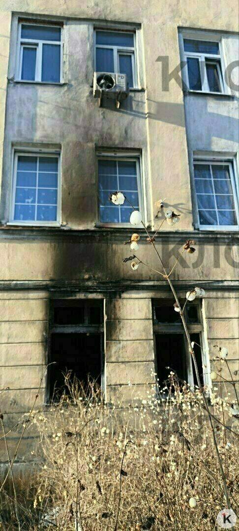 Пламя поднималось к окну: как мама из Калининграда спасла трёх дочек, выбросив их со второго этажа в руки соседей Пламя поднималось к окну: как мама из Калининграда спасла трёх дочек, выбросив их со второго этажа в руки соседей