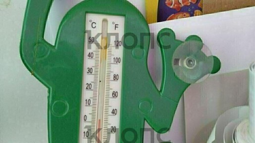 � ��������������� ������� ��������� ������� ������ ������� Wildberries �������� �� ������ ������� ����� � ������ ��������, ������� �� ����� ������ ��������� ���