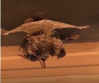 ��� ���� ������ �� 500 ������ �������� ������ �� �������� � ��������