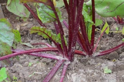 ������ �� ����� �����, ���� �������� ��� � �������. ��� �� ����� ����������