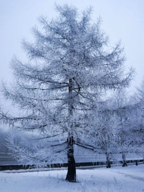 Во вторник в Калининграде и области — около нуля и пасмурно