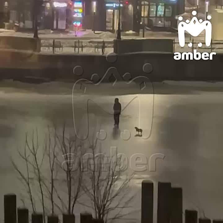 ��������� ���������� ������ �� �������� �������