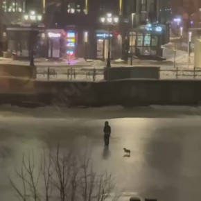 ������� ���������� ���� �� ���������� ���������