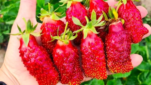 ����������: ������ ���� � �������� ����������� � ��������� ����