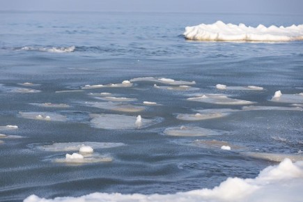 �������� ����� ������ �� 28 �����������!