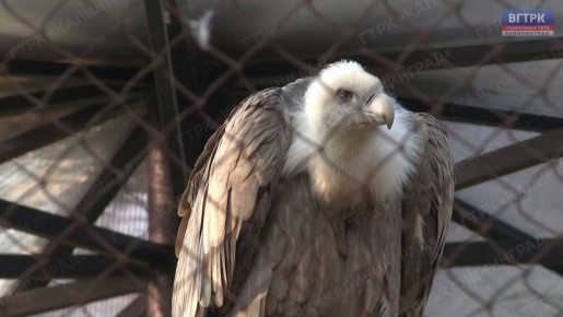 ��������������� ������� ������ � �������� � ������� ������ � 9.00 �� 17.00 (����� �� 16.00)