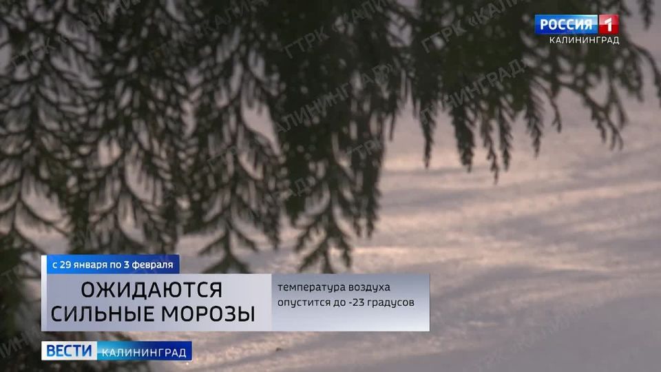 ������ ������� ������� ������