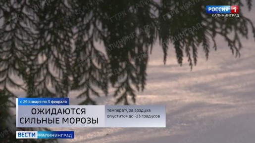 ������ ������� ������� ������