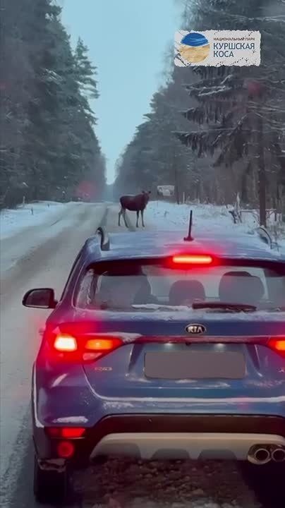 �� �������� ���� ��������� ������ ���� ������������ ��-�� �������� �����