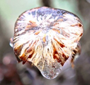 �������� ����� �������� ����� �� ������-������ ������