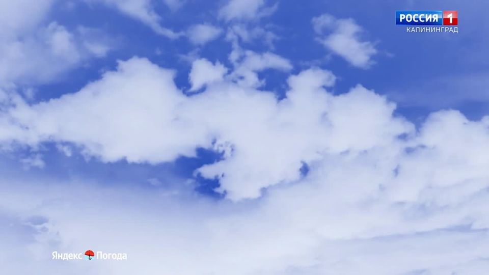 ������ �� 28 ������