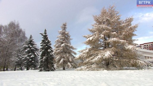 � ��� ������� ������������ � ������������� �������