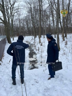 ����������� ������ ����������� �������� �������� �� ����� ����������� ������� �� ��������������� ������������� ���������� �������, �� ������� ���������� ������ ������