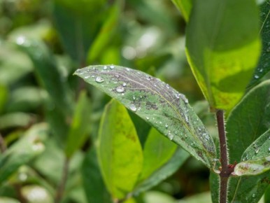 ��������� ������ ��������: ��� ������ ����� ����� � ��� ��� �������� ����