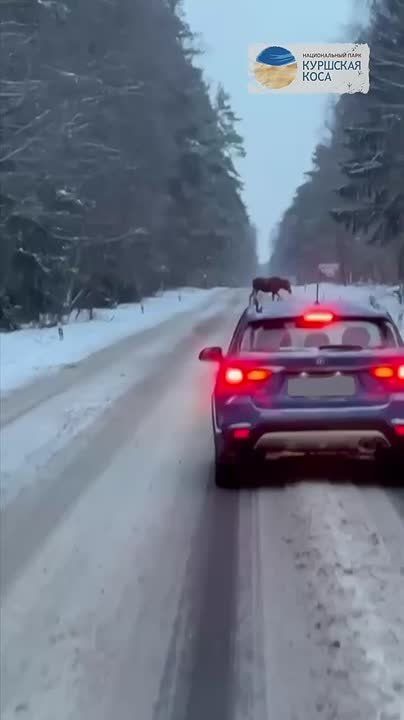 ��������! �� �������� ���� ��������� ����