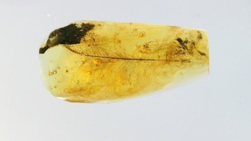 ��������� ����� ������ ����������� ���������� ������������������ ��������