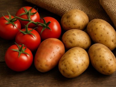 ��� ��������� ��������� � �������� �� ���������� ���� ��� �������