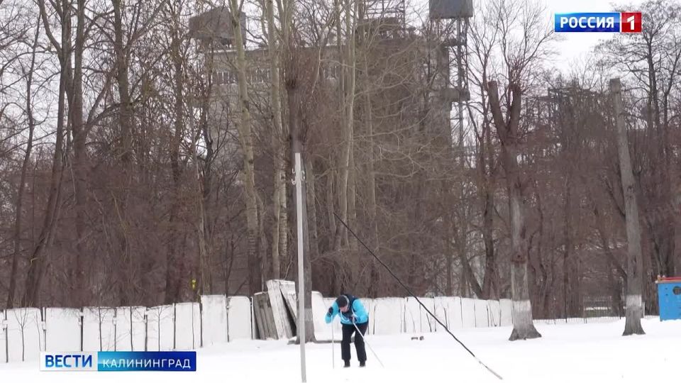 � ���, ��� �� ������� ������� �����-���������� ������� ��������� � ��������� �������������