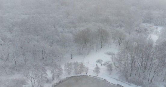 Ультраполярное вторжение: почему в Калининградскую область идут двадцатиградусные морозы