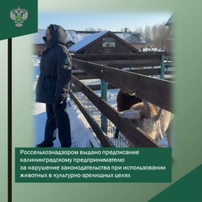 Россельхознадзор выдал предписание предпринимателю в посёлке Константиновка за нарушение законодательства