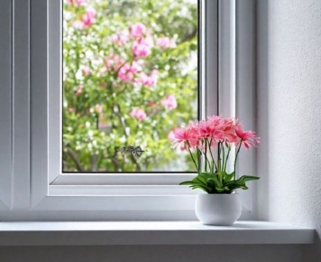 ��� ������� ����������� ��� ����������� �����: ������� � ���������� ������� ������ � ���������