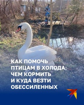 ������ ������ ��������, � ������ ������ �������� ����� ������