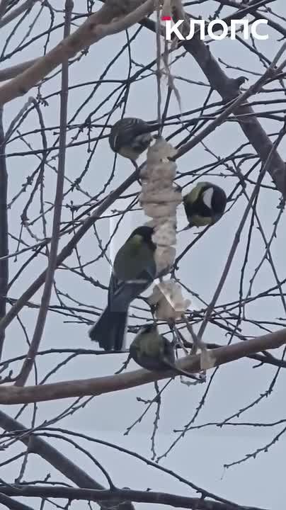 ���������� �� ��������, � ����� �� ������ ��������� � ������ ��������