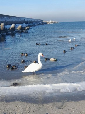 Несколько красивых фотографий от нашей подписчицы Елены Гурьевой