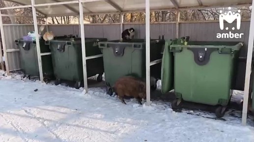 ������ ��� ������� ����� ���������� ������ ������� � ����������� � ��������