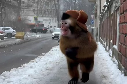 ����� ������� ������ � ������������ ��������� �������� ��� ���