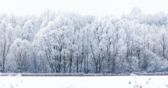 ��������������� ���������� ��-�� ������� ������� ������� � ����� ������!�