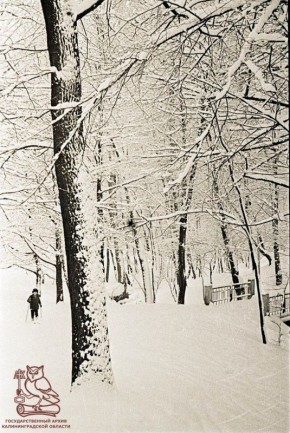 ����� ������� ���� ���� ������! ��� � ���� ����