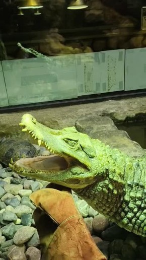 ����� ���� ���� ������ �����, ���� �� ��� ��� ���������� �������