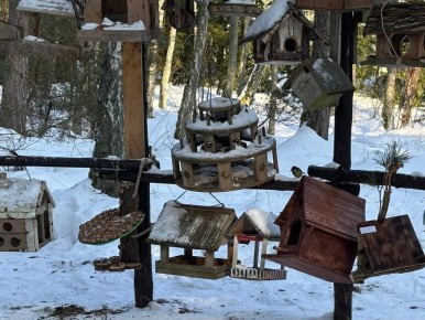 ����������� �������� ���� �������� ������������� ����