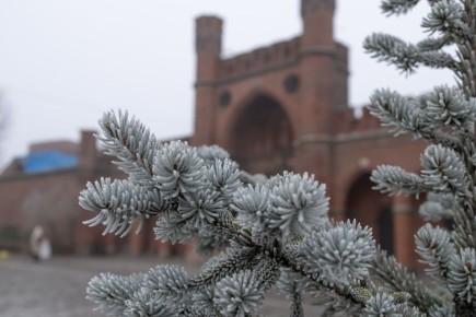 ����������� ����� � ��� �������, ���������� ��� ������ � �������