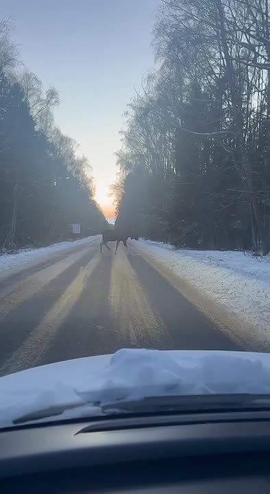 ����� ���-�� � ������������ ������������ ����