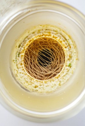 ������������ ��� ������ ����: ����������� ����� ��� ������ ����