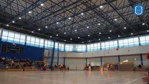 � ������������ ���������� ��������������� ���� ���������� ������� �� �������