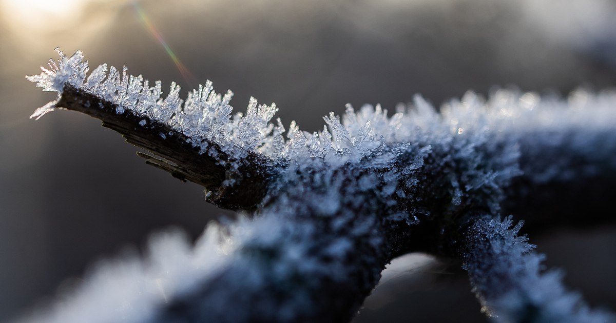 Ждём к вечеру -20: погода в Калининградской области на субботу