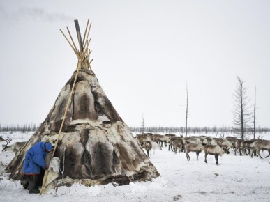 Новый закон подтверждает кочевой образ жизни для коренных народов