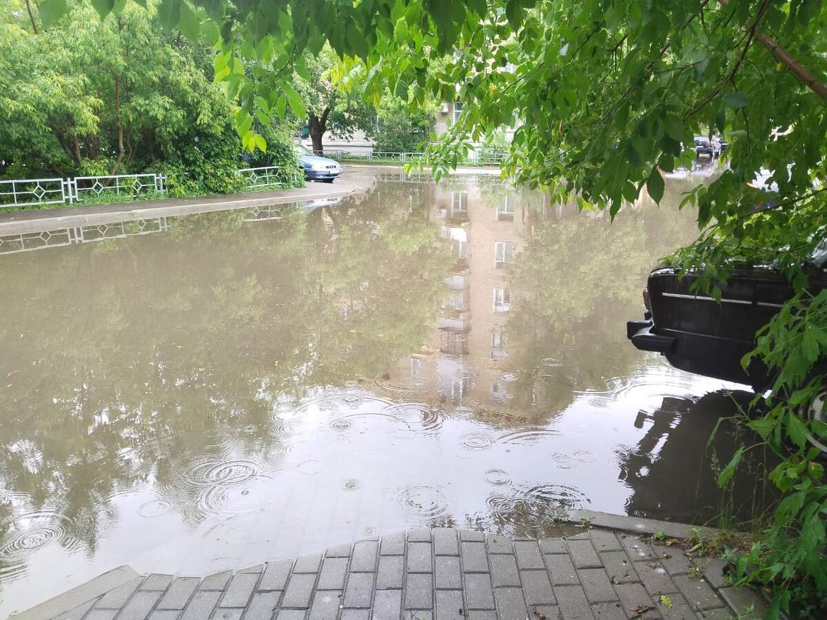 Клубничные приключения: Как природа и стремление к урожаю сталкиваются