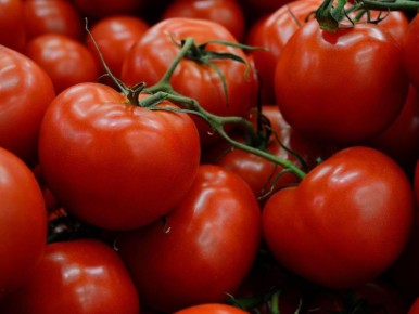 ���� ������ � �������: ������� � ���������� ������ ������� ���������