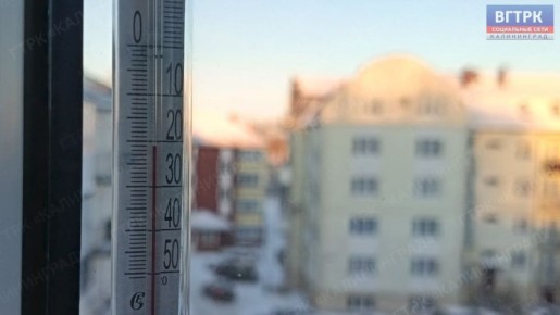 ���� 20 �������� �� ������� �������