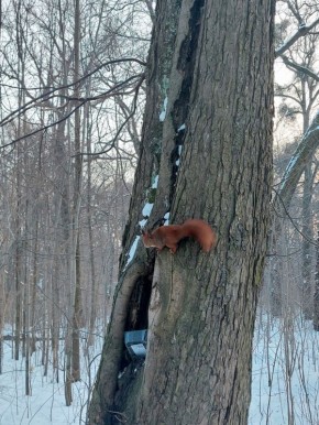 ������ ������� � ������������