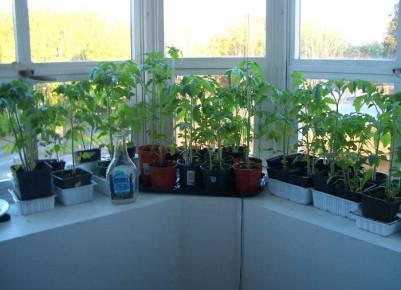 ��� ��������� ������������� ������� ��� ��������� �����