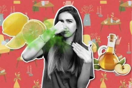 ���������� �� ������ � ��������: 5 ������� � ���������� �������