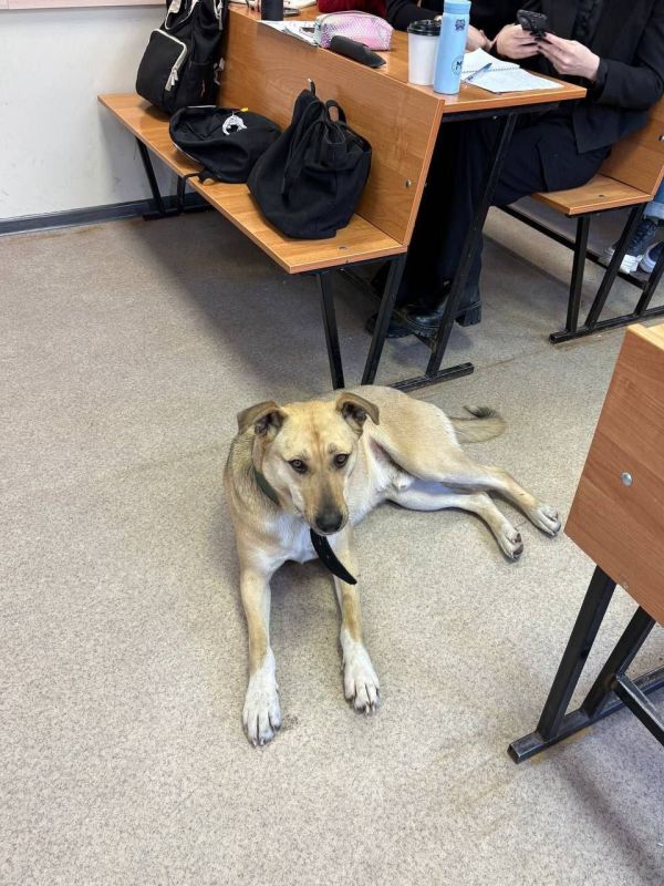 � ��� �� ������ ������ ���