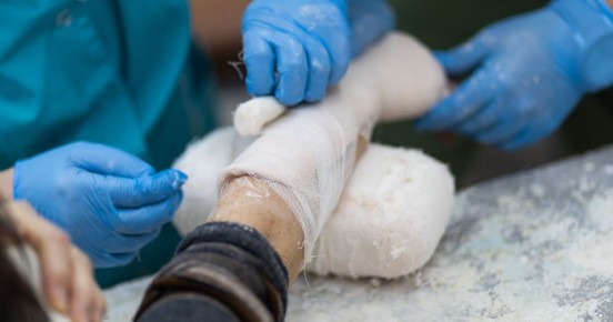 � ������������ �� ��������� ��� ��� ������ 130 ������� �������� ������ �� �������